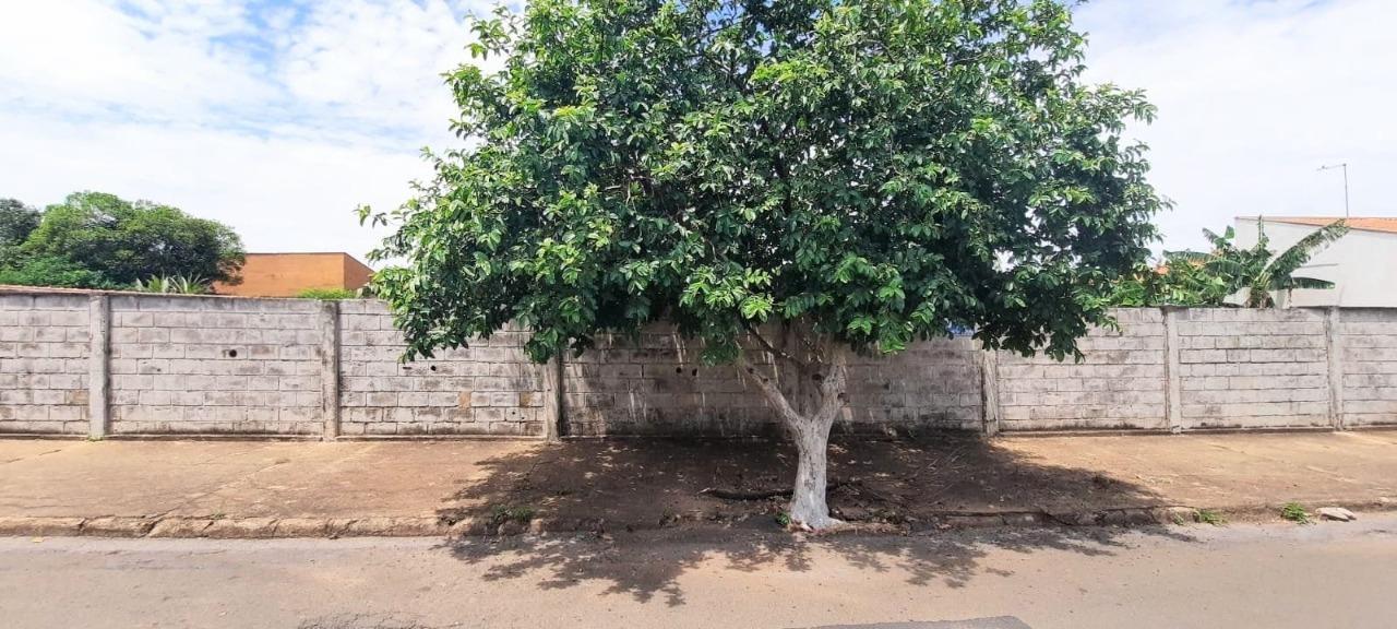 terreno à venda, Jardim São Domingos, Mococa — foto 1 de 3